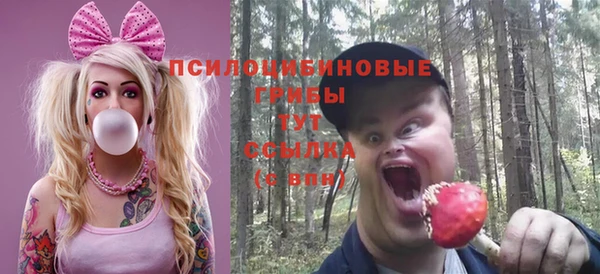 не бодяженный Алзамай